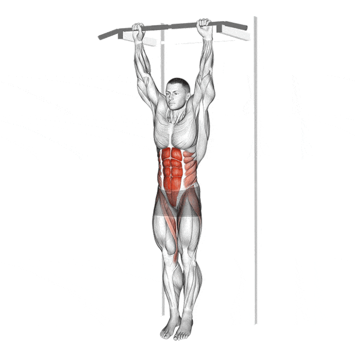 하이퍼 익스텐션 동작 예시