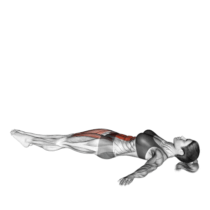 백 익스텐션 동작 예시